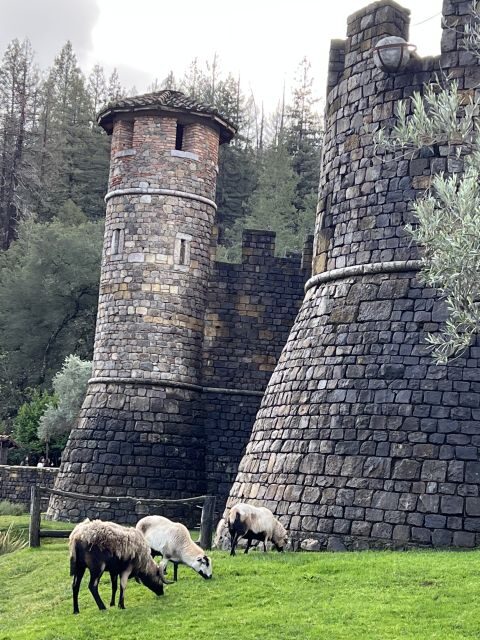 From San Francisco: Napa Valley Private Tour - The 6-hour clock: why timing matters in Napa and Sonoma