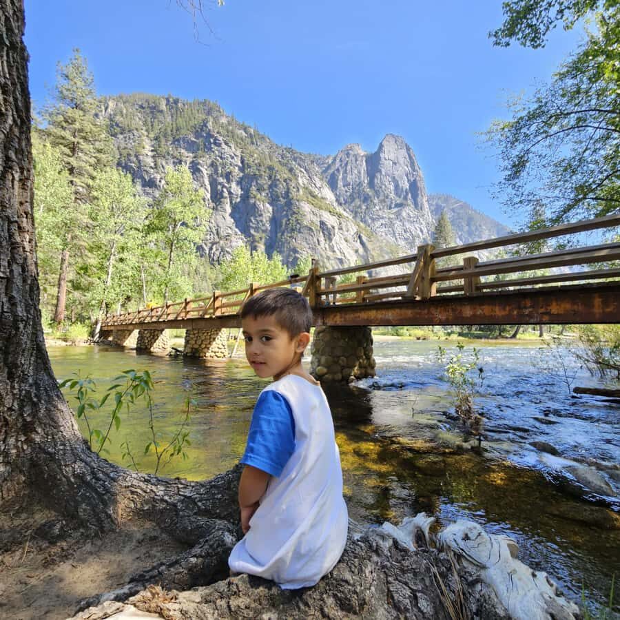 From San Francisco: Yosemite National Park Guided Day Trip - Beyond the Valley: Yosemite Falls, Tuolumne Meadows, and Visitor Center stops