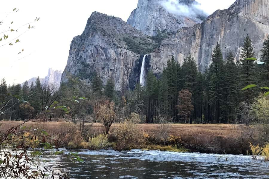 From SF: Yosemite Day Trip with Giant Sequoias Hike & Pickup - Half Dome and Yosemite Falls: Viewing the Giants from the Road