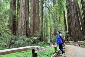 Half-Day Muir Woods & Sausalito Tour with Entry Ticket Included - Pickup at Union Square or Fisherman’s Wharf: The Start Matters