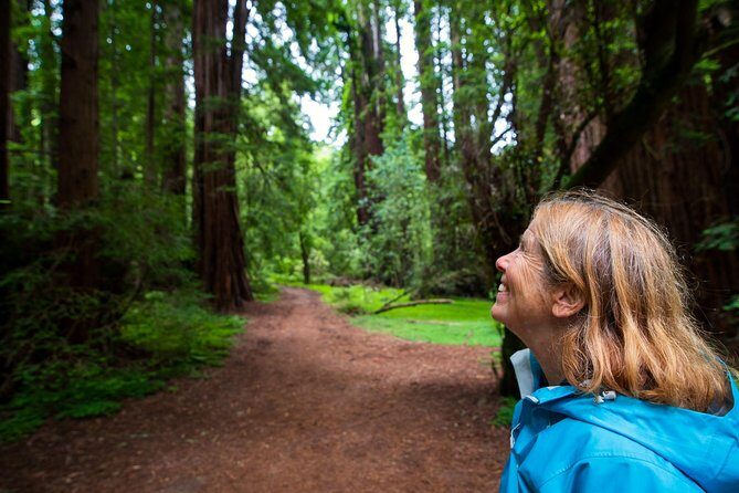 Half-Day Muir Woods & Sausalito Tour with Entry Ticket Included - Price and Value Check: Is $99 a Good Deal?
