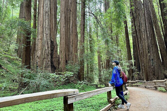 Half-Day Muir Woods & Sausalito Tour with Entry Ticket Included - Pickup at Union Square or Fisherman’s Wharf: The Start Matters