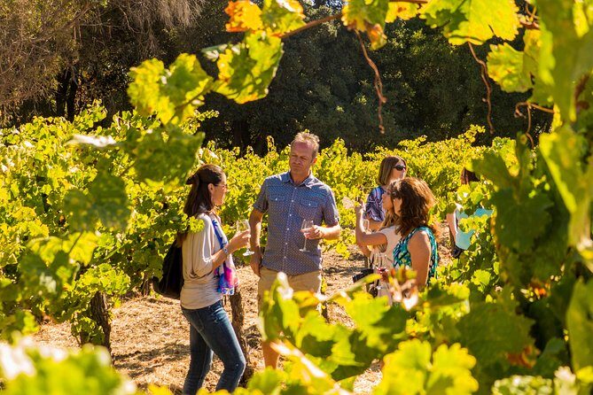 Half-Day Wine Country Tour from San Francisco - Golden Gate to wine country in one afternoon