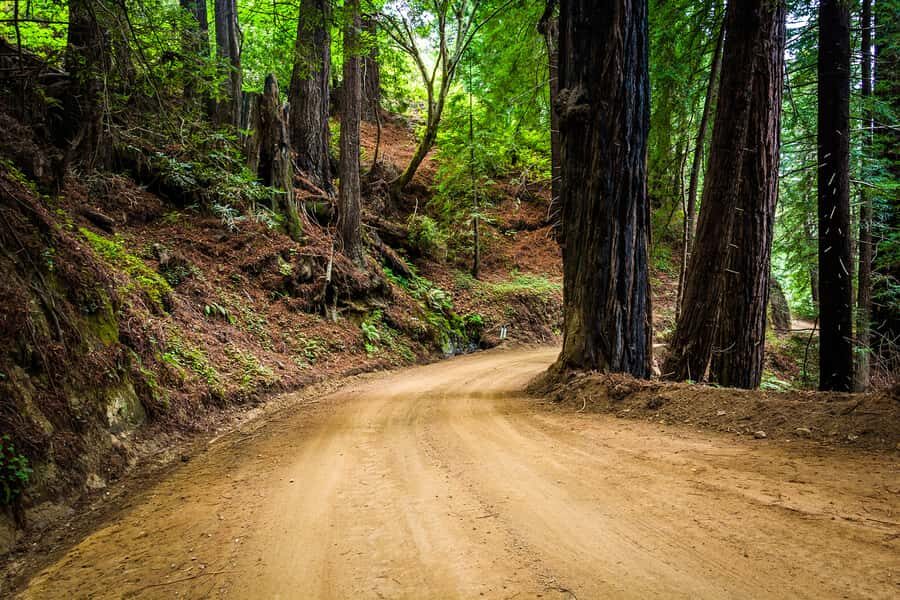Monterey, Carmel, 17 Mile Dr, Big Sur & Mcway Falls Pvt Tour - How guide Pablo’s style keeps a long coast day from feeling exhausting