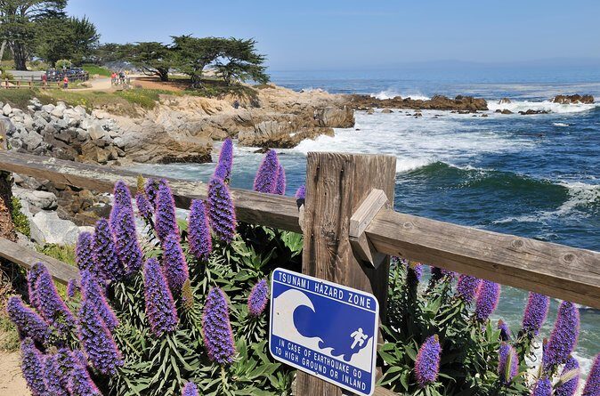 Monterey, Carmel and 17-Mile Drive: Full Day Tour from SF - The quick caffeine break in Davenport