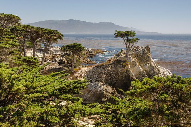 Monterey, Carmel and 17-Mile Drive: Full Day Tour from SF - Carmel-by-the-Sea: galleries at Carmel Plaza and a short walk toward the bluff path
