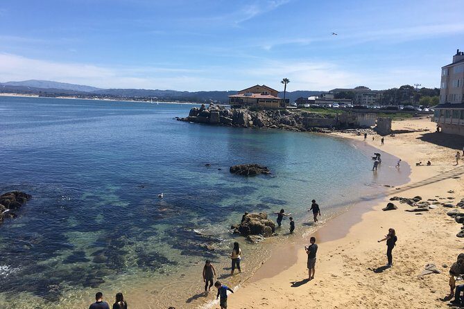 Monterey, Carmel and 17-Mile Drive: Full Day Tour from SF - Pigeon Point Light Station: tallest lighthouse vibes with a short beach chance