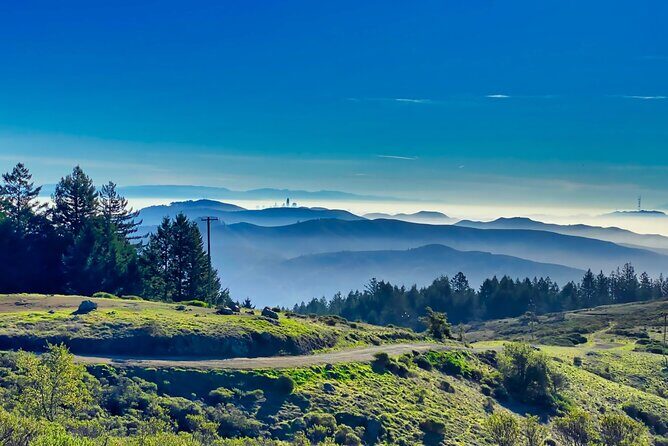 Muir Woods and Sausalito Half Day Tour - Stop 2: Sausalito on your own for 45 minutes