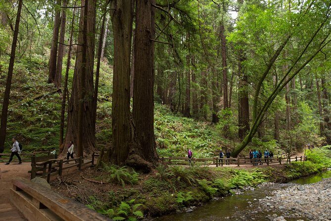 Muir Woods and Sausalito (Return by Bus or Ferry) - Picking Up the Bus: Union Square vs Fisherman’s Wharf