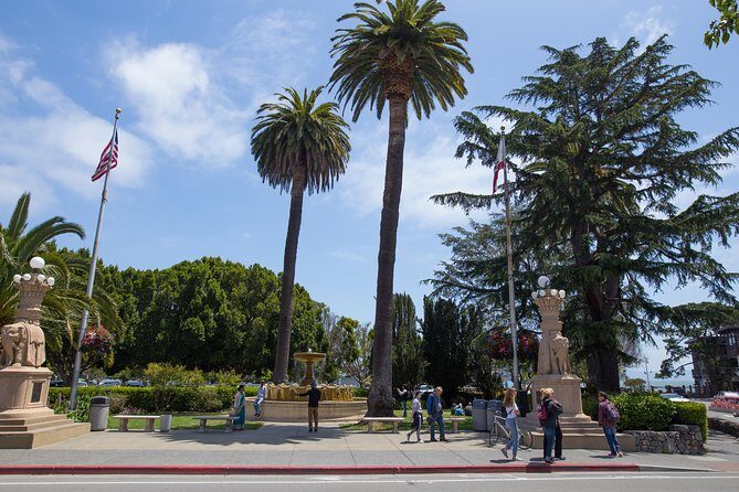 Muir Woods and Sausalito (Return by Bus or Ferry) - Golden Gate Photo Stop and Marin Headlands Views