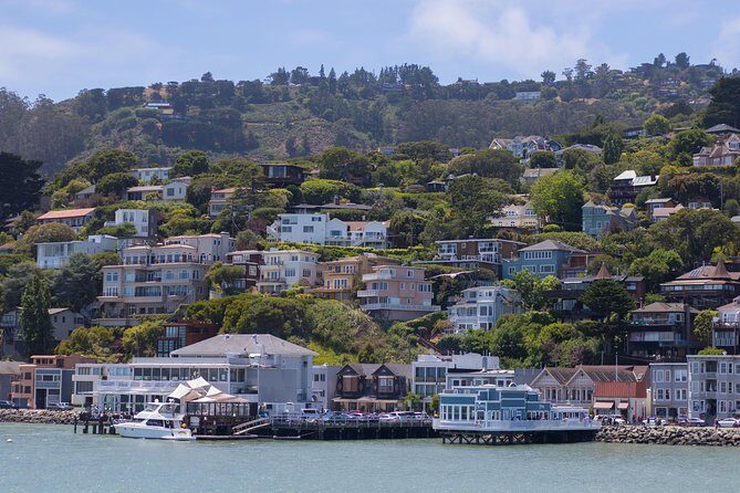 Muir Woods and Sausalito (Return by Bus or Ferry) - Price and Value: What $91 Buys You (and Why It’s Not Just the Redwoods)