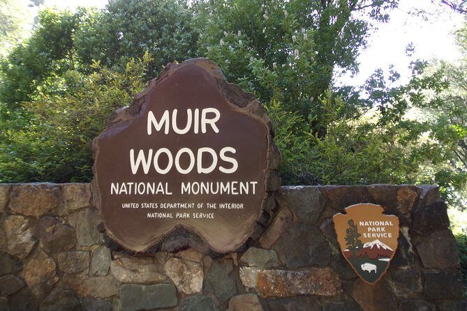 Muir Woods and Sausalito (Return by Bus or Ferry) - Muir Woods: How to Use Your 90 Minutes in the Redwoods