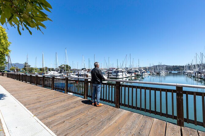 Muir Woods and Sausalito Tour Entrance Fee Included - Muir Woods: 1 hour 20 minutes among coastal redwoods