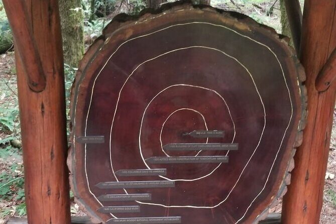 Muir Woods and Sausalito Tour Entrance Fee Included - Getting back to San Francisco: simple, predictable timing