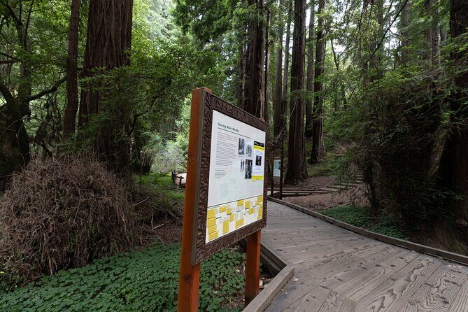 Muir Woods and Sausalito Tour Entrance Fee Included - Price and value: what $84 really buys