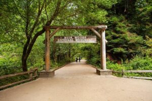Muir Woods and Sausalito Tour Plus Bay Cruise - Golden Gate Bridge Timing and Photo Stops That Actually Matter