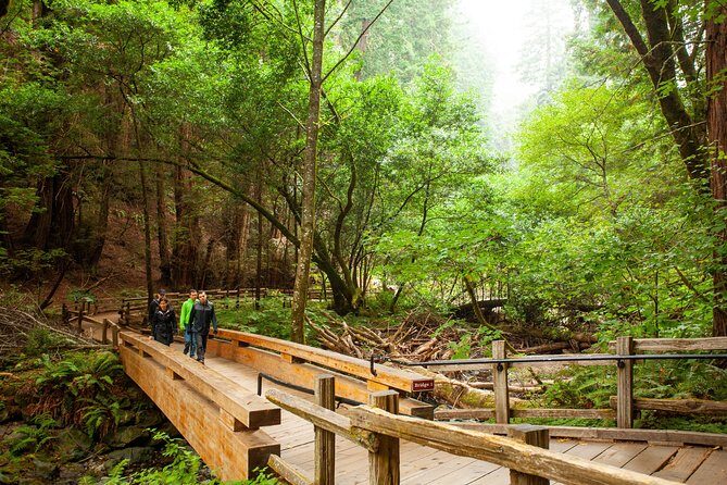 Muir Woods and Sausalito Tour Plus Bay Cruise - Muir Woods: 90 Minutes With Old-Growth Coastal Redwoods
