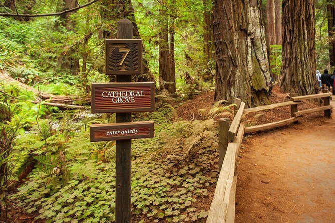 Muir Woods and Sausalito Tour Plus Bay Cruise - Getting There and Back: Bus Comfort, Group Size, and Real-Life Logistics