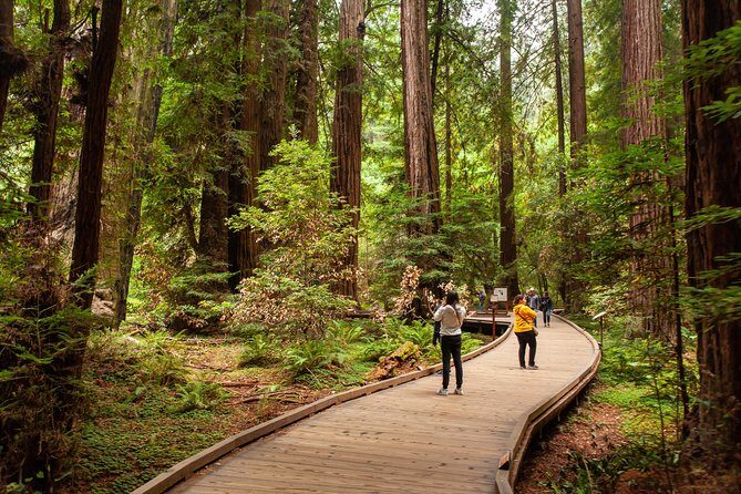 Muir Woods and Sausalito Tour Plus Bay Cruise - Who This Tour Fits Best (and Who Might Want a Different Plan)