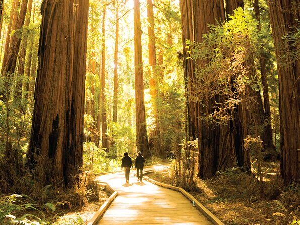 Muir Woods & Sausalito Tour - Sausalito in about 50 minutes: how to make the most of short town time