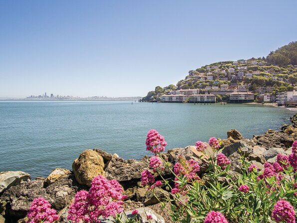 Muir Woods & Sausalito Tour - Value check: does $99.99 make sense for this day?