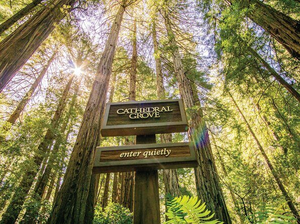 Muir Woods & Sausalito Tour - Who this tour fits best (and who might not love it)
