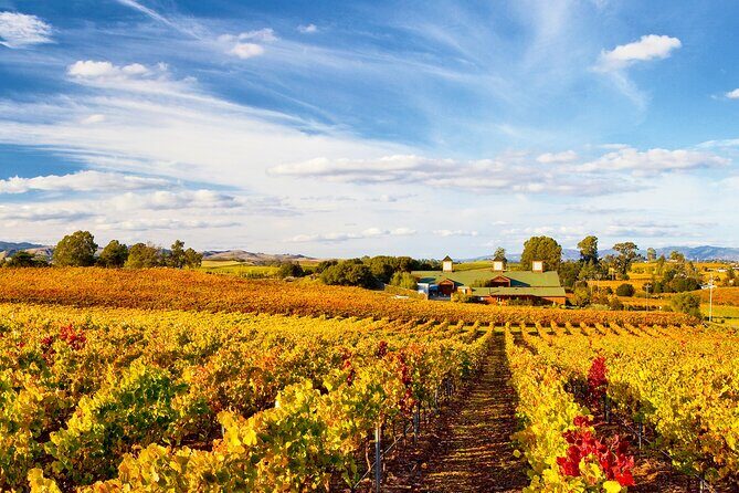Muir Woods & Wine Tour: Redwoods & Tastings at 3 Wineries - Wine Country With a Guide: Why Names Like Noah, Jed, and Lisa Keep Coming Up