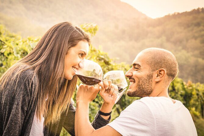 Napa and Sonoma-8-hr Private-Wine Tour from San Francisco XL SUV - Pre-Trip Planning That Lets You Shape the Day