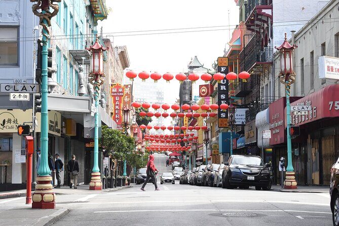 Nearly Private San Francisco Tour Including Sausalito - Pacific Heights and the Presidio: mansions, movie magic, and Yoda