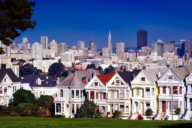 Nearly Private San Francisco Tour Including Sausalito - Haight-Ashbury, Painted Ladies, and the walkback through time