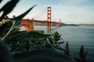 Official Alcatraz Island Prison Tour with Free App Audio Packages - Meeting at 571 Post St: the small details that prevent big headaches