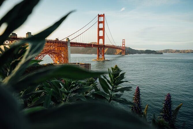 Official Alcatraz Island Prison Tour with Free App Audio Packages - Meeting at 571 Post St: the small details that prevent big headaches