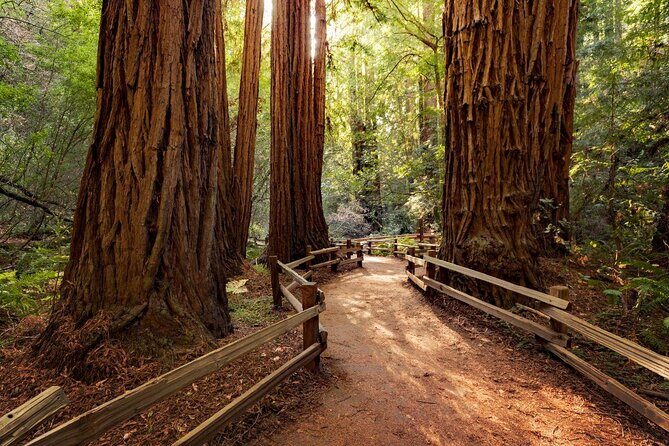 One Day in San Francisco: Alcatraz, Muir Woods, and SF City Tour - Why This One-Day San Francisco Loop Feels Worth It