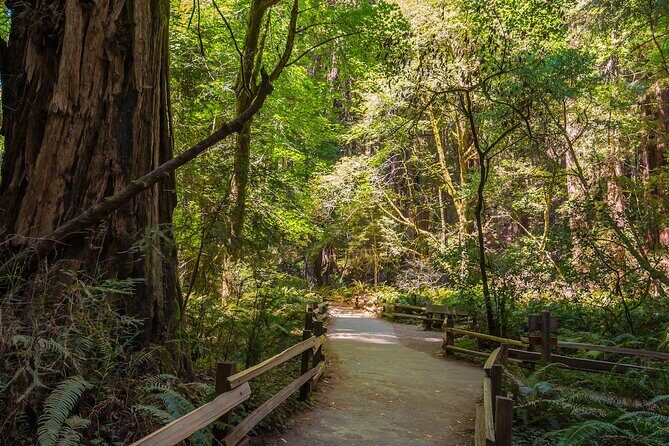 One Day in San Francisco: Alcatraz, Muir Woods, and SF City Tour - North Beach Start: Getting Oriented Before You Hit the Landmarks