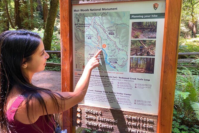 Private Muir Woods Tour + Golden Gate Bridge Stops (3 Hrs, Max 6) - Time-permitting stops at Muir Beach and Marin Headlands