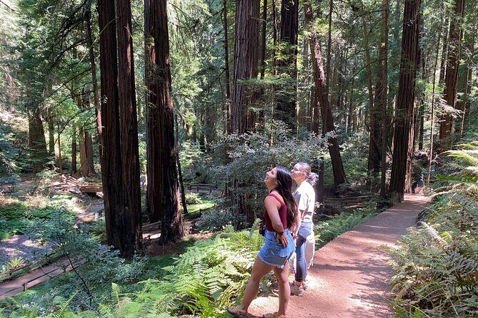 Private Muir Woods Tour + Golden Gate Bridge Stops (3 Hrs, Max 6) - Return through Sausalito and the ferry option that changes the feel of your afternoon