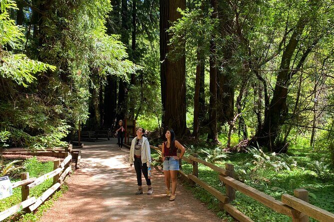 Private Muir Woods Tour + Golden Gate Bridge Stops (3 Hrs, Max 6) - Price check: what $203 buys and what costs extra