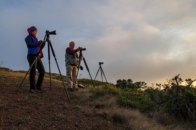 Private San Francisco Sunset Photography Experience - A private sunset shoot built for better Golden Gate Bridge photos