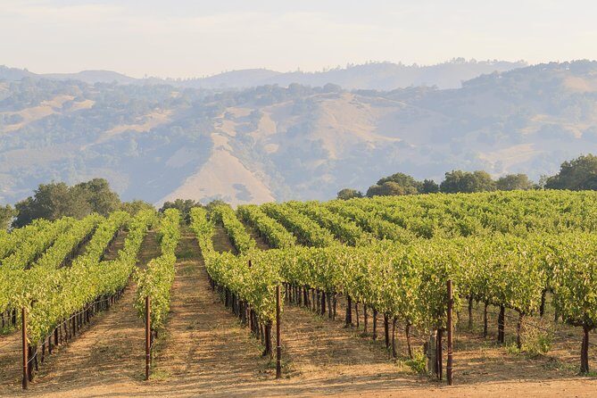 Russian River Weekend Wine Tasting & Gourmet Lunch - Guide Energy Makes or Breaks the Day