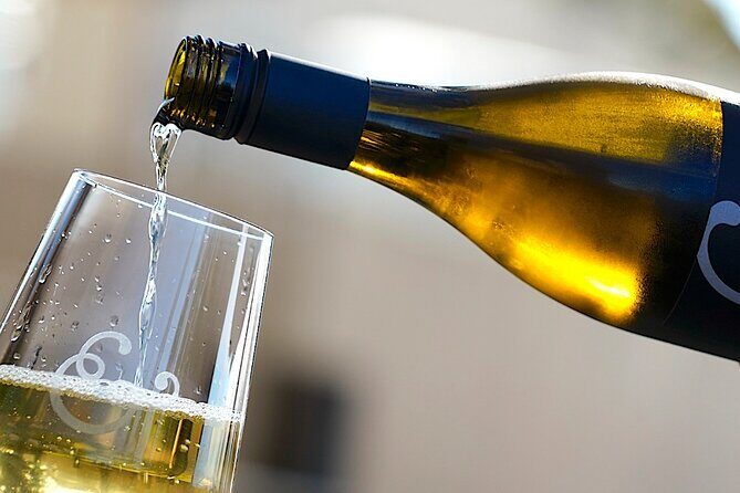 Russian River Weekend Wine Tasting & Gourmet Lunch - A Balanced Take: Who This Tour Fits Best (and Who Might Not)