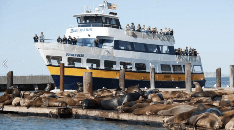 San Francisco: Alcatraz Island Prison Tour with Bay Cruise - Price and value: what $132 buys you in real-world terms