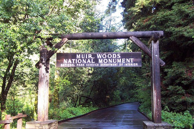 San Francisco: Armstrong Redwoods and Wine Tour with Tastings - Russian River Valley Vineyards: Vineyard Views and the Pace of Tastings