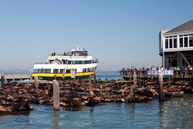 San Francisco Bay Cruise - Why This One-Hour San Francisco Bay Cruise Fits Almost Any Day