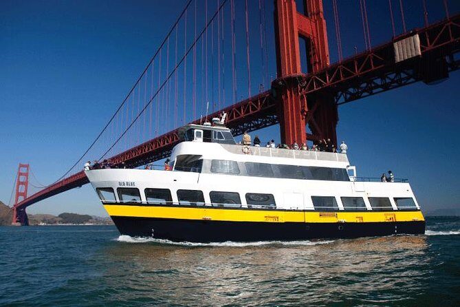 San Francisco Bay Cruise - Pier 39 Stop: Sea Lions, Unobstructed Photos, and Waterfront Energy