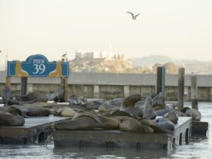 San Francisco CityPASS®: Save 46% at 4 Top Attractions - How Ticket Entry Works at Each Attraction (So You Don’t Lose Time)