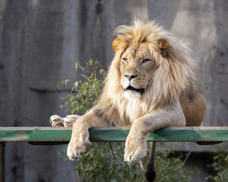 San Francisco CityPASS®: Save 46% at 4 Top Attractions - Value Check: Is $89 a Good Deal for You?