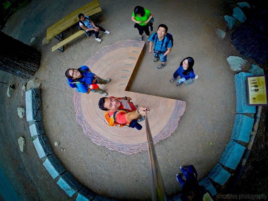 San Francisco: Day Trip to Yosemite with Giant Sequoias Hike - Key highlights worth clocking