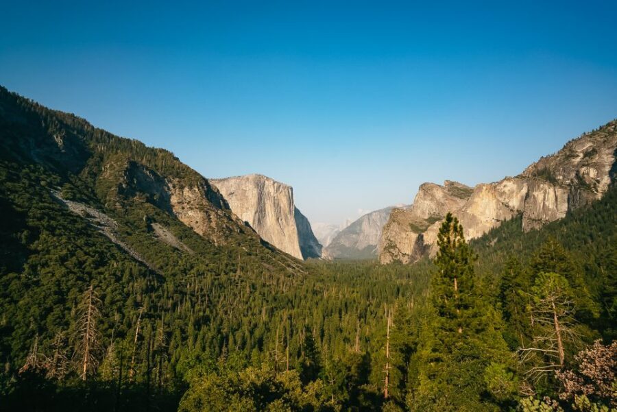 San Francisco: Day Trip to Yosemite with Giant Sequoias Hike - A Long Morning Out of San Francisco (and Why You’ll Care)