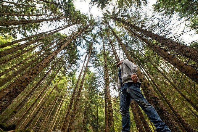 San Francisco Excursion: Guided Tour to Muir Woods and Sausalito - Why this Muir Woods and Sausalito day is a smart use of time