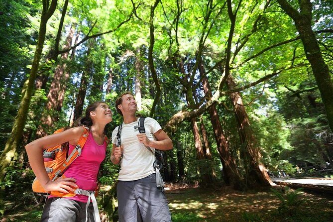San Francisco Excursion: Guided Tour to Muir Woods and Sausalito - Muir Woods National Monument in 90 minutes: what you can realistically do